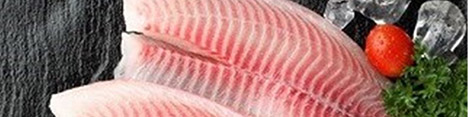 واردات ۶۰ میلیون دلاری تیلاپیا؛ ماهی فقرا